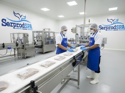 Servicio de empaque profesional